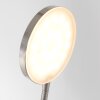 Steinhauer Platu Staande lamp LED roestvrij staal, 1-licht