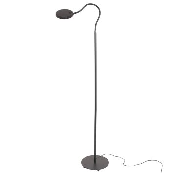Steinhauer Platu Staande lamp LED Zwart, 1-licht