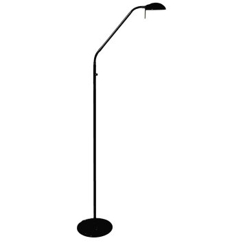 Steinhauer Biron Staande lamp LED Zwart, 1-licht