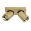 Lucide NIGEL Plafondlamp LED Goud, Messing, 2-lichts