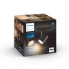 Philips Hue White Ambiance Runner Plafondlamp LED Zwart, 1-licht, Afstandsbediening