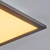 Ringuelet Plafondpaneel LED Zwart, Wit, 1-licht, Afstandsbediening