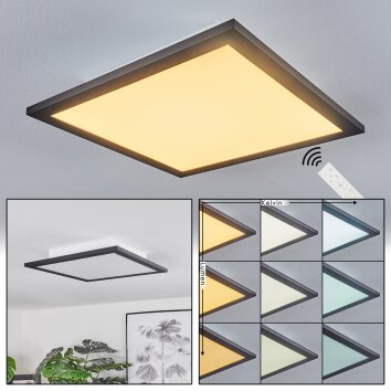 Ringuelet Plafondpaneel LED Zwart, Wit, 1-licht, Afstandsbediening