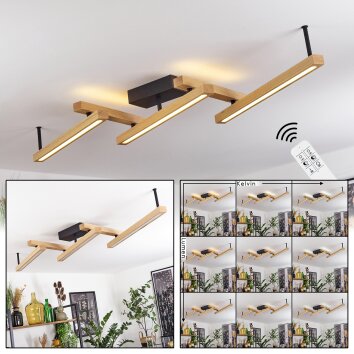 Disentis Plafondlamp LED Natuurlijke kleuren, Zwart, 1-licht, Afstandsbediening