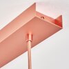 Puestito Hanglamp Goud, Roze, 3-lichts