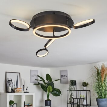 Carrisito Plafondlamp LED Zwart, 1-licht