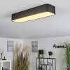 Iriondo Plafondlamp LED Zwart, 1-licht, Afstandsbediening