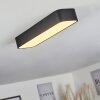 Iriondo Plafondlamp LED Zwart, 1-licht, Afstandsbediening