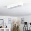 Iriondo Plafondlamp LED Wit, 1-licht, Afstandsbediening