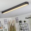 Iriondo Plafondlamp LED Zwart, 1-licht, Afstandsbediening