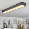 Iriondo Plafondlamp LED Zwart, 1-licht, Afstandsbediening