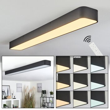 Iriondo Plafondlamp LED Zwart, 1-licht, Afstandsbediening