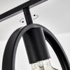 Assiniboia Plafondlamp Zwart, 3-lichts