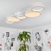 Carabajal Plafondlamp LED Wit, 1-licht