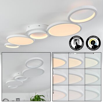 Carabajal Plafondlamp LED Wit, 1-licht