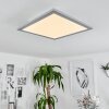 Wilderswil Plafondlamp LED Wit, 1-licht