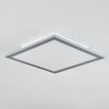 Wilderswil Plafondlamp LED Wit, 1-licht