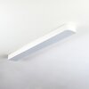 Iriondo Plafondlamp LED Wit, 1-licht, Afstandsbediening