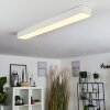 Iriondo Plafondlamp LED Wit, 1-licht, Afstandsbediening