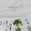 Xena Plafondlamp LED Wit, 1-licht, Afstandsbediening