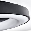 Sachseln Plafondlamp LED Zwart, 1-licht, Afstandsbediening