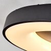 Sachseln Plafondlamp LED Zwart, 1-licht, Afstandsbediening