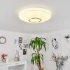Auxerre Plafondlamp LED Wit, 2-lichts, Afstandsbediening, Kleurwisselaar