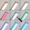 Minacar Staande lamp LED Nikkel mat, 1-licht, Afstandsbediening, Kleurwisselaar
