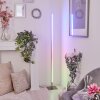 Minacar Staande lamp LED Nikkel mat, 1-licht, Afstandsbediening, Kleurwisselaar