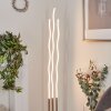 Gamsen Staande lamp LED Nikkel mat, 3-lichts, Afstandsbediening, Kleurwisselaar