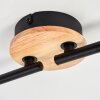 Ballis Plafondlamp Natuurlijke kleuren, Zwart, 4-lichts