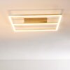 Rauma Plafondlamp LED Nikkel mat, 1-licht