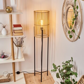 Calchines Staande lamp Zwart, 1-licht