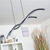 Eaglesham Hanglamp LED Zwart, 1-licht
