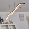 Eaglesham Hanglamp LED Zwart, 1-licht