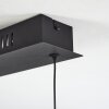 Eaglesham Hanglamp LED Zwart, 1-licht