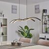 Eaglesham Hanglamp LED Zwart, 1-licht