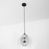 Roosevelt Hanger Zwart, 1-licht