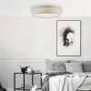 Brilliant Baska Plafondlamp LED Zilver, 1-licht