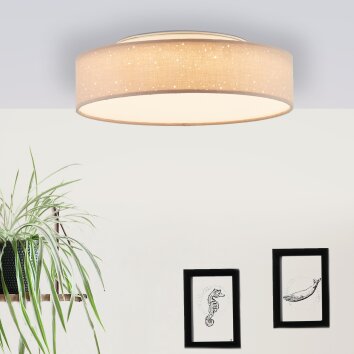 Brilliant Baska Plafondlamp LED Zilver, 1-licht