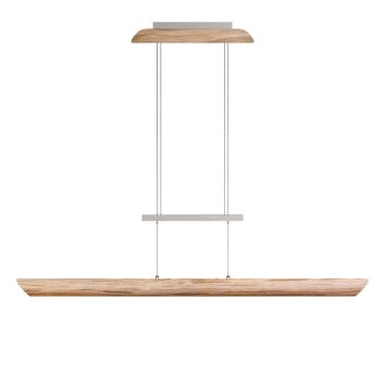 Elobra Colombia Hanglamp LED Natuurlijke kleuren, 1-licht