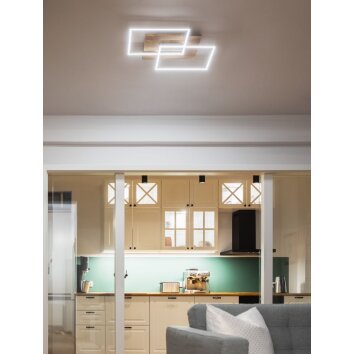 Elobra Panama Plafondlamp LED Natuurlijke kleuren, 2-lichts, Afstandsbediening