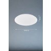 Fischer & Honsel Mona Plafondlamp LED Wit, 1-licht