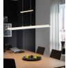 Fischer & Honsel ROOF Hanglamp LED Messing, 1-licht
