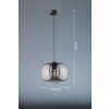 Fischer & Honsel Ink Hanglamp Zwart, 1-licht