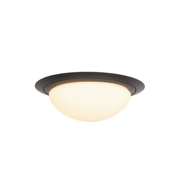 Steinhauer Ikaro Plafondlamp LED Zwart, 1-licht