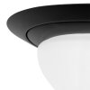 Steinhauer Ikaro Plafondlamp LED Zwart, 1-licht