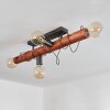 Burruyaco Plafondlamp Grijs, Natuurlijke kleuren, 4-lichts