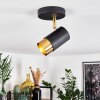 Campanas Plafondlamp Messing, Zwart, 1-licht