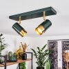 Campanas Plafondlamp Groen, Messing, 2-lichts
